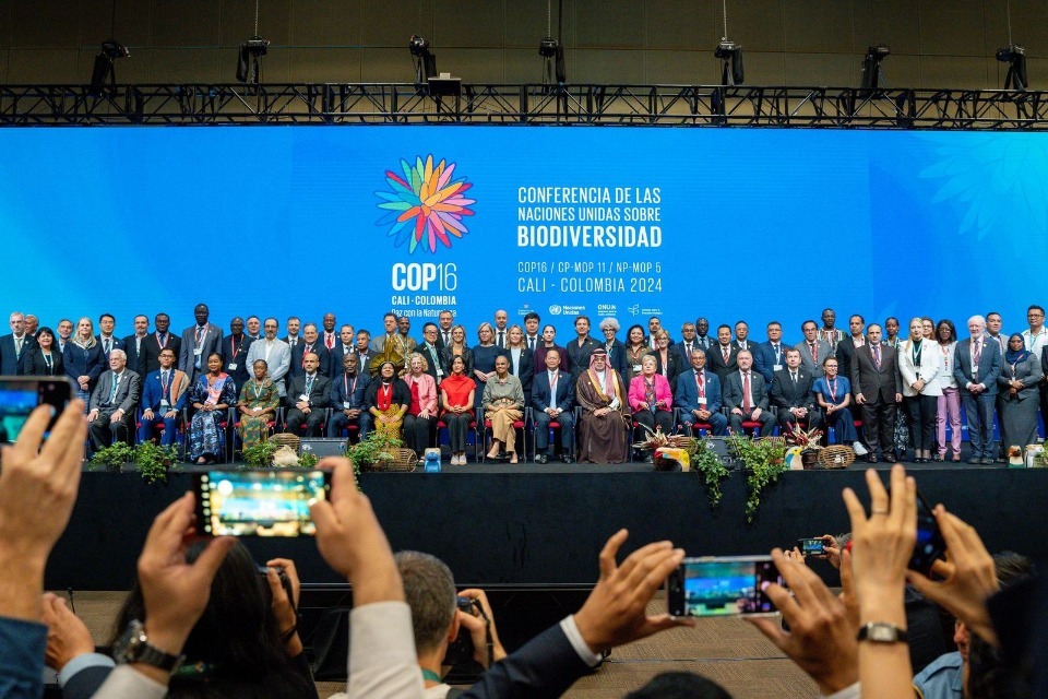 Imagem relacionada à notícia: COP 16 conclui: O Reino Unido volta ao estágio global instando a ação sobre a recuperação da natureza e suportando os objetivos 30 por 30
