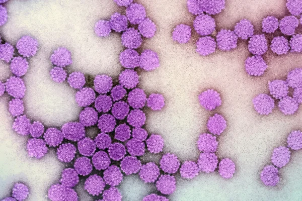 Terapia epigenética pode reduzir atividade do vírus da hepatite B