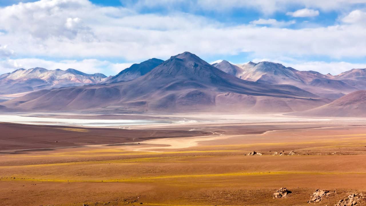 Dente de capivara encontrado no Atacama revela um passado muito mais quente e úmido no Deserto do Atacama