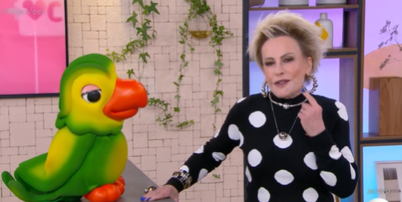 Ana Maria Braga no 'Mais Você' Foto: Reprodução/TV Globo