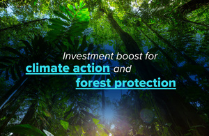 Imagem relacionada à notícia: Impulso de investimento para ação climática e proteção florestal