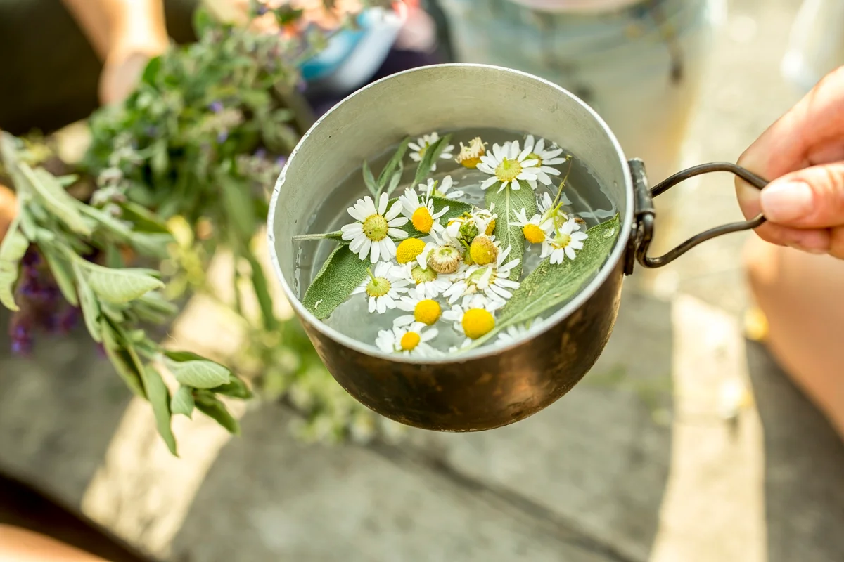 Foto colorida de pessoa segurando chá de camomila - Chá anti-inflamatório ajuda na digestão e alivia sintomas de ansiedade - Metrópoles