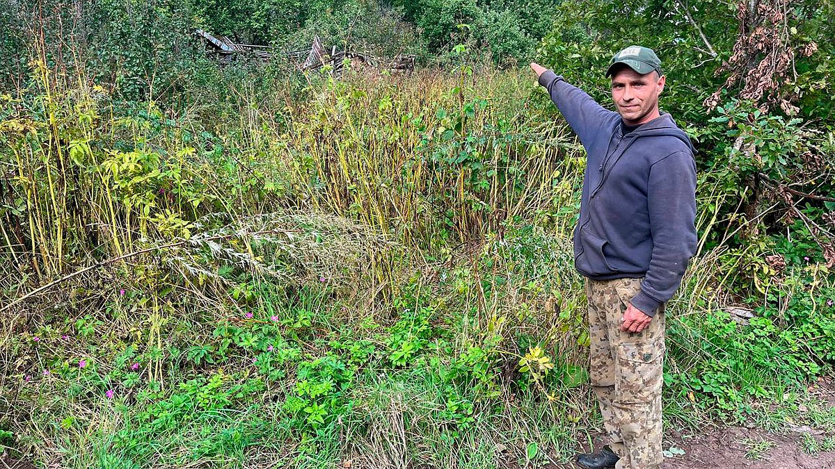 Os habitantes desapareciam um por um, a aldeia ficou vazia em um ano: o que se passa na Aldeia dos Mortos no isolamento de Pskov, onde uma mulher maníaca operava silenciosamente