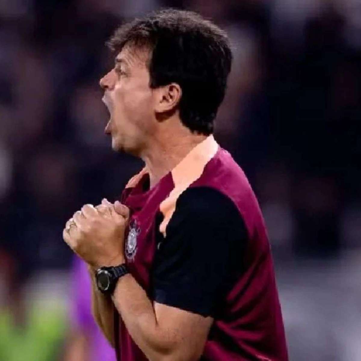 Fernando Diniz faz alerta ao Corinthians antes da volta com Estudiantes; veja