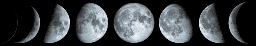 Lua hoje: confira a fase da Lua desta terça-feira 08/09/2026