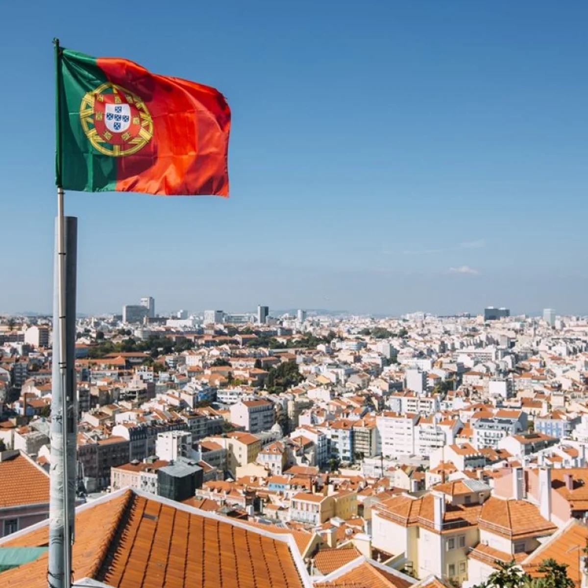 Cravos, entre o passado e o desejo