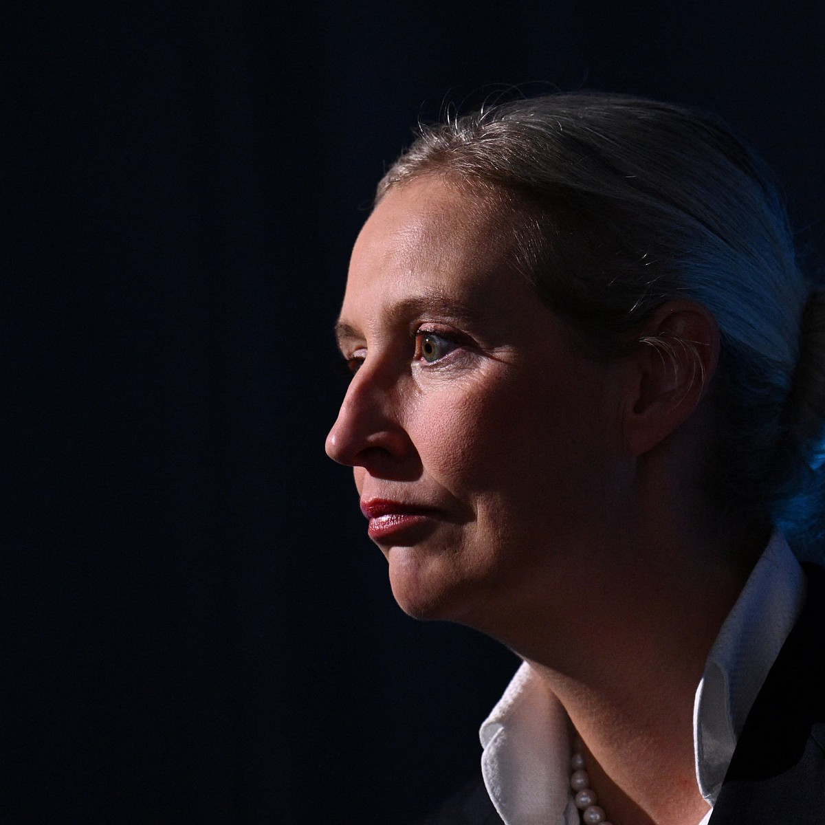 O bilionário Müller elogiou a líder da AfD, Alice Weidel, para o cargo de chanceler da Alemanha após a vitória do partido