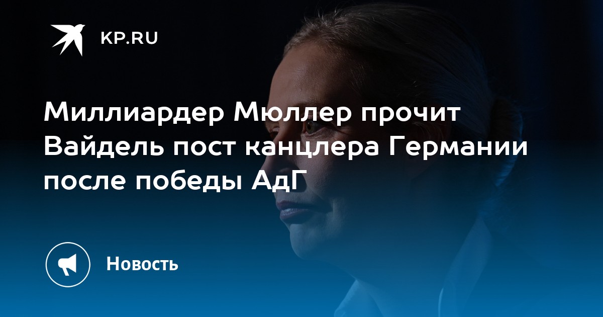 O bilionário Müller elogiou a líder da AfD, Alice Weidel, para o cargo de chanceler da Alemanha após a vitória do partido