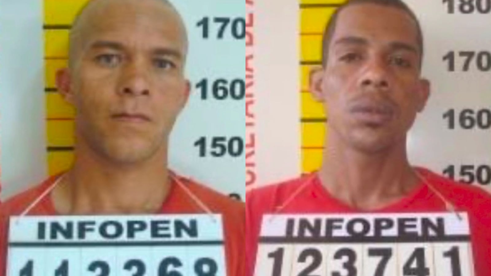 Reginaldo Ribeiro Cerdeira, de 45 anos, dividia a cela com a vítima, Warley Cardoso de Jesus, e confessou o crime