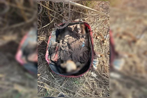 Ossada humana é encontrada em mala junto a relógio e camisa de time em GO