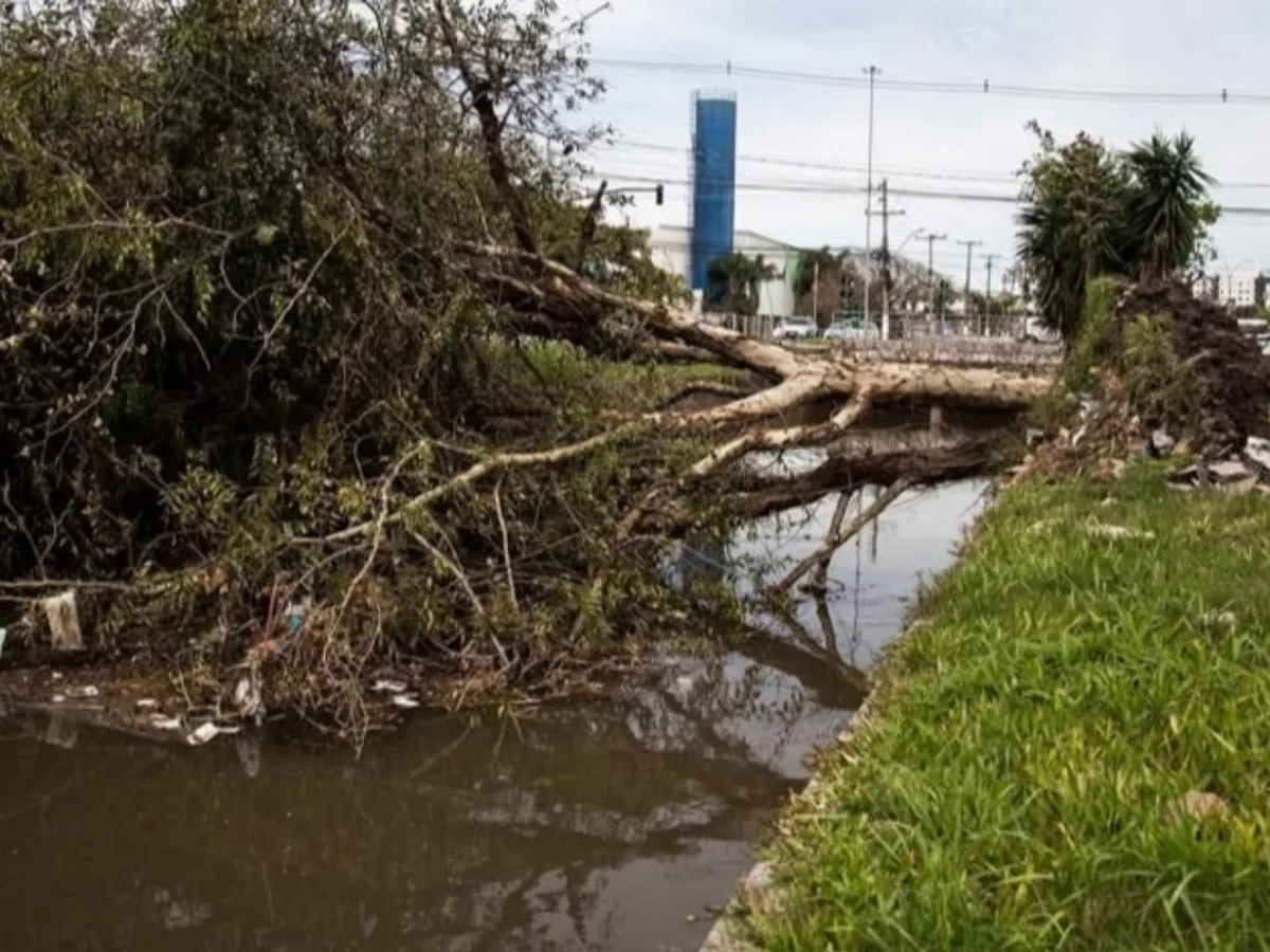 RS: temporais deixam ao menos 4 mortos e rastro de destruição