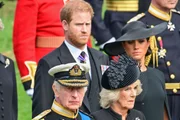 Entenda por que rei Charles chamou Harry e Meghan de “cidadãos privados”