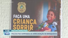 Mulher que não ganhou cavalo na infância quebra recorde com milhares de pôneis de brinquedo