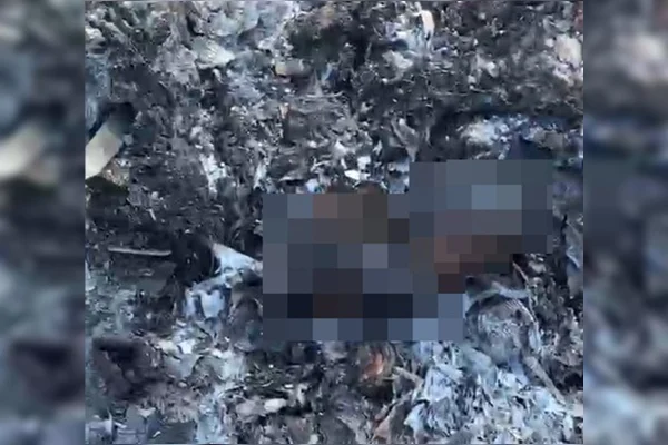 Mãe de recém-nascido encontrado carbonizado é localizada pela polícia - destaque galeria