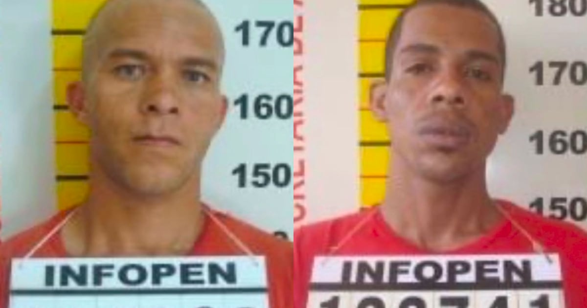 Detento mata colega acusado de abusar de mulher trans e mutila órgão genital dele em presídio de MG