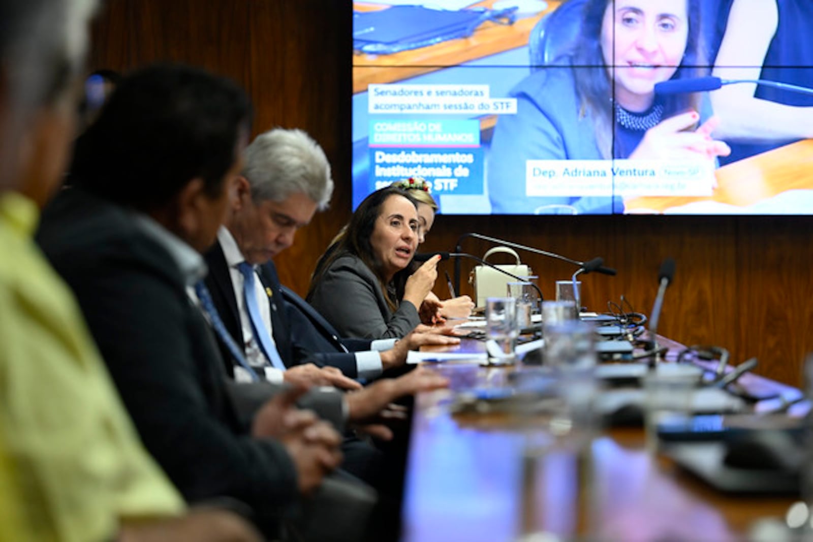 Comissão de Direitos Humanos