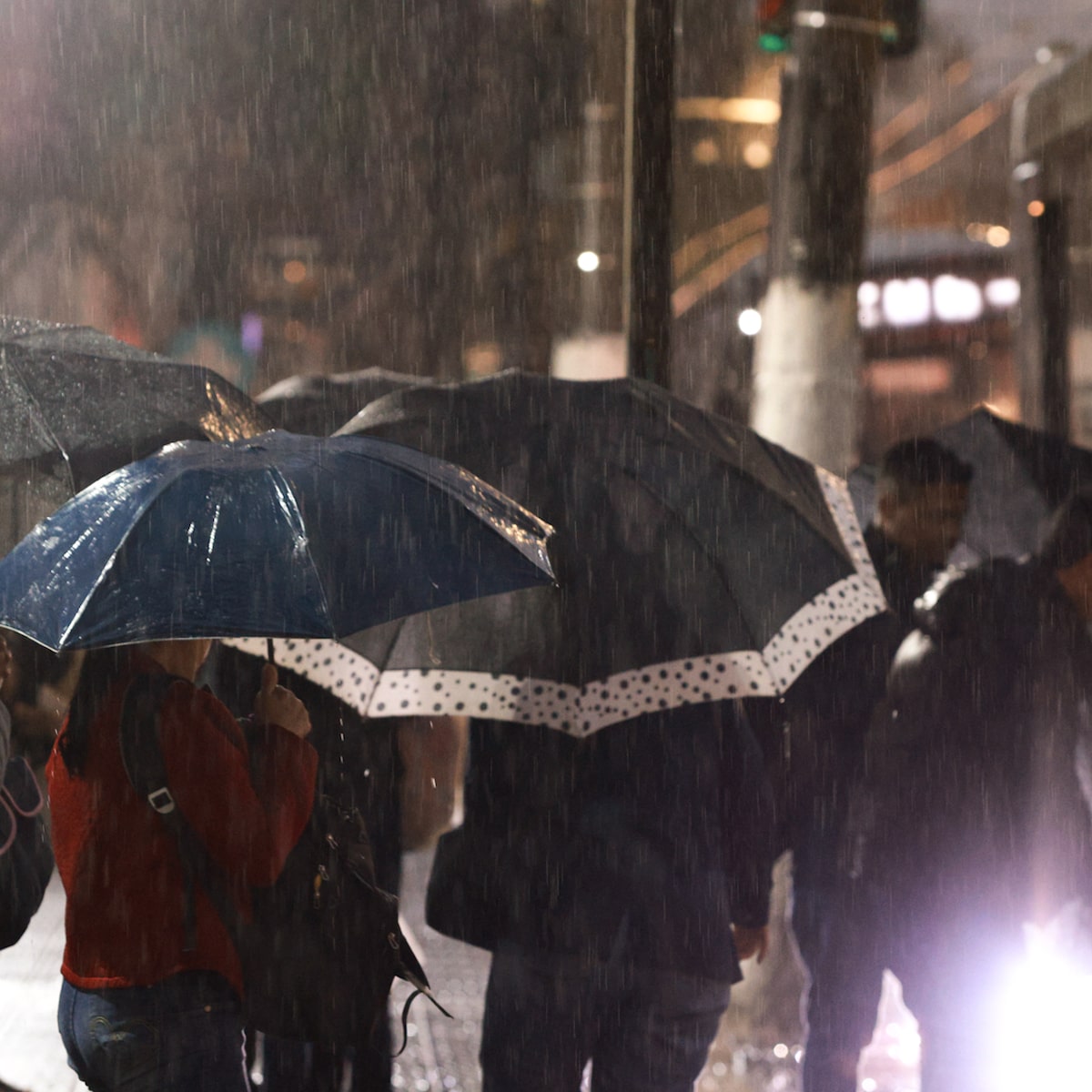 SP amanhece com chuva e pode ter temporais nesta quarta-feira; veja a previsão