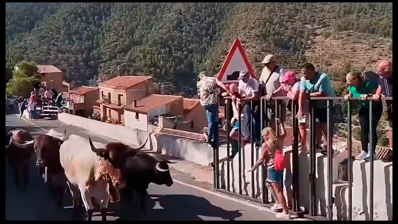 Sem conseguir escalar proteção, mulher morre atacada por touros em festa popular espanhola