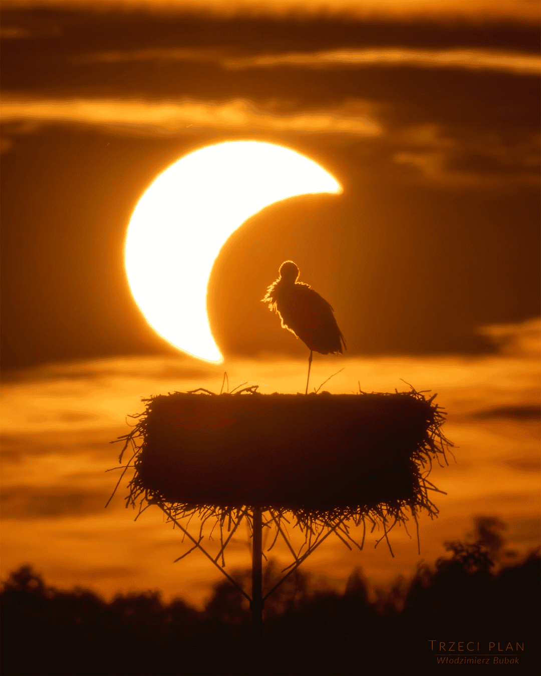 Cegonha em seu ninho é registrada diante do Sol parcialmente encoberto pela Lua durante eclipse visto na Polônia em 12 de agosto de 2026.