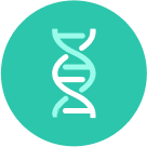 Spray nasal feito de placenta humana reduz efeitos de Alzheimer em animais
