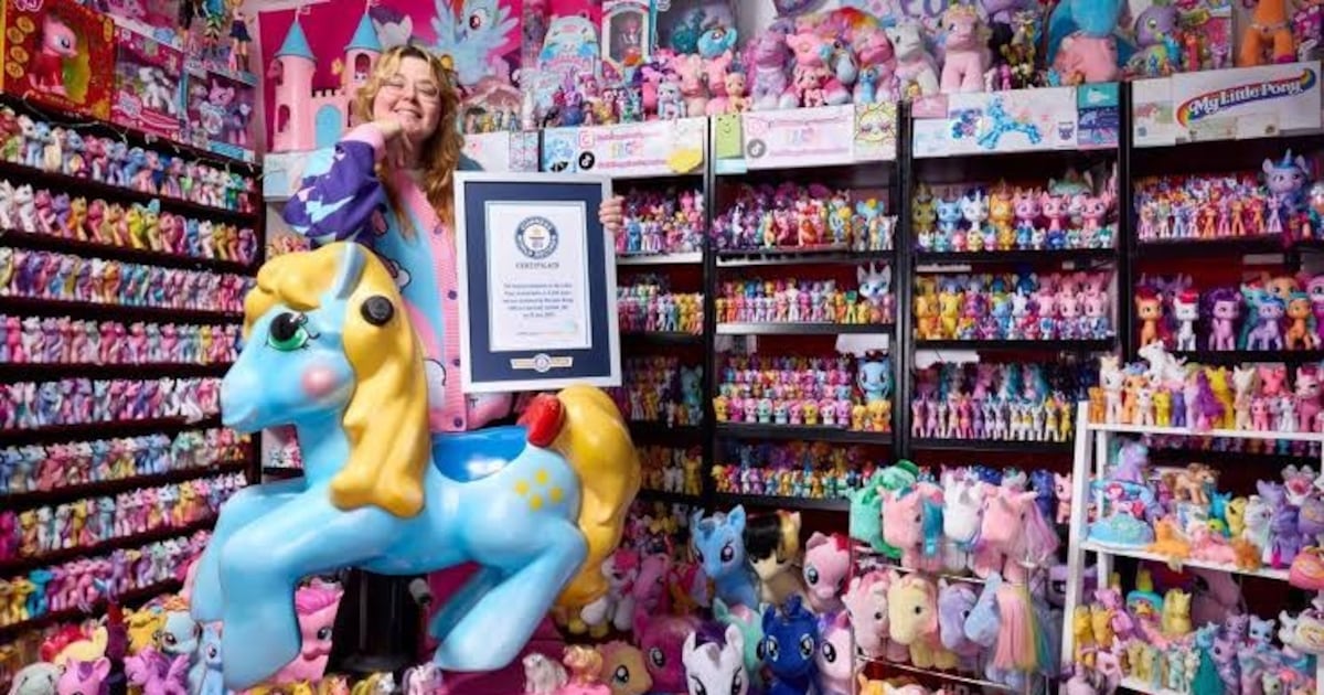 Mulher que não ganhou cavalo na infância quebra recorde com milhares de pôneis de brinquedo