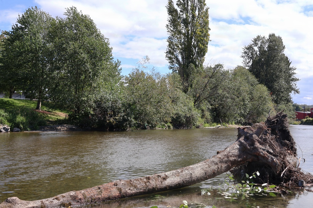 Imagem relacionada à notícia: EUA Corpo de Engenheiros do Exército que repara a Cidade do Cedar River Levee de Renton