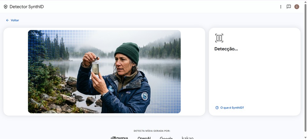 Envie a imagem e aguarde a análise — Foto: Reprodução/Caroline Silvestre