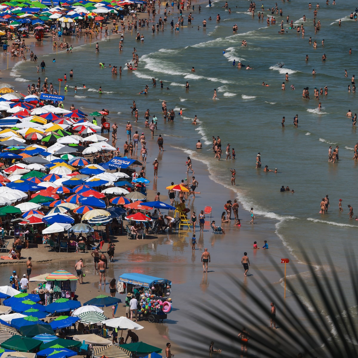 Taxa para entrada de veículos no Guarujá estará em vigor no verão de 2027? Veja como vai funcionar