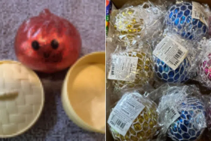 Importador dos EUA recolhe 37.000 brinquedos macios devido a 'perigo de ingestão mortal'