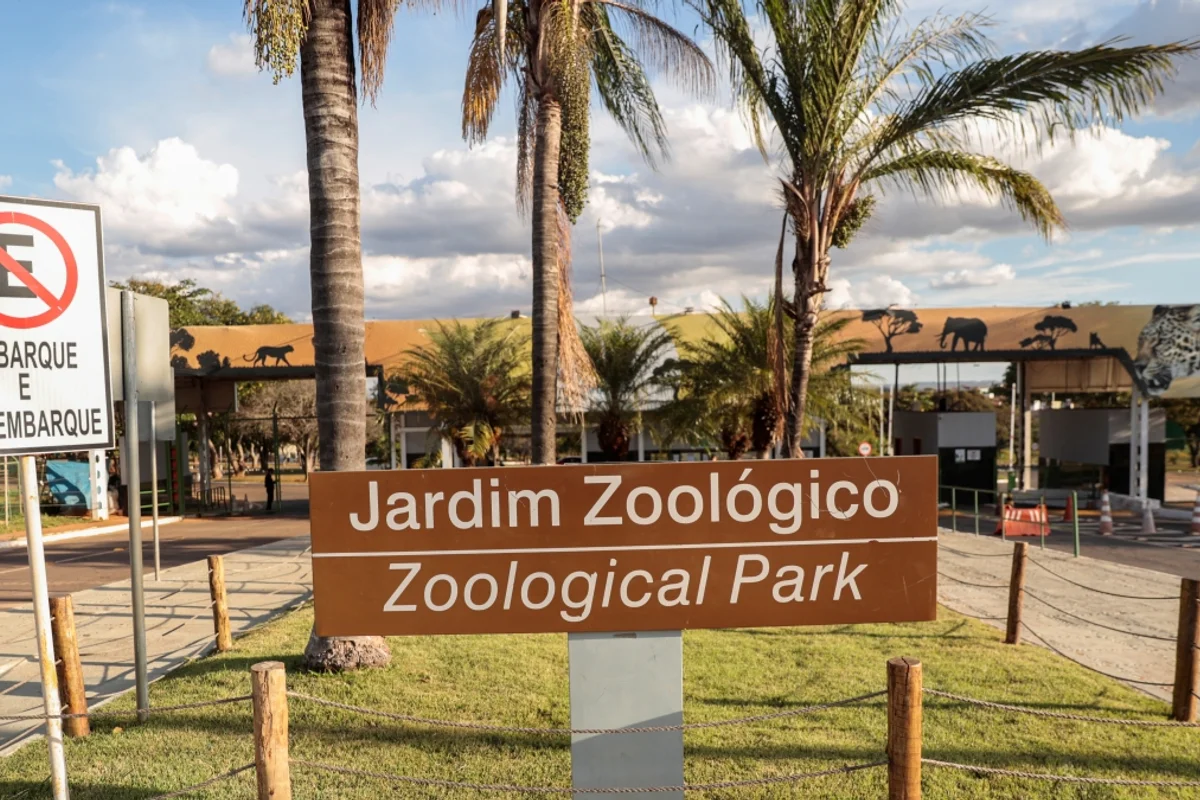 Zoológico de Brasília estará fechado ao público no 2º turno das eleições