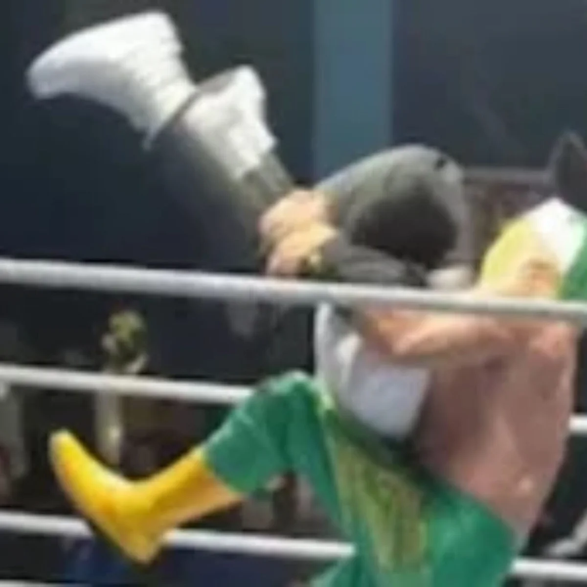 Lutador aplica golpe proibido e mata árbitro em luta livre no México
