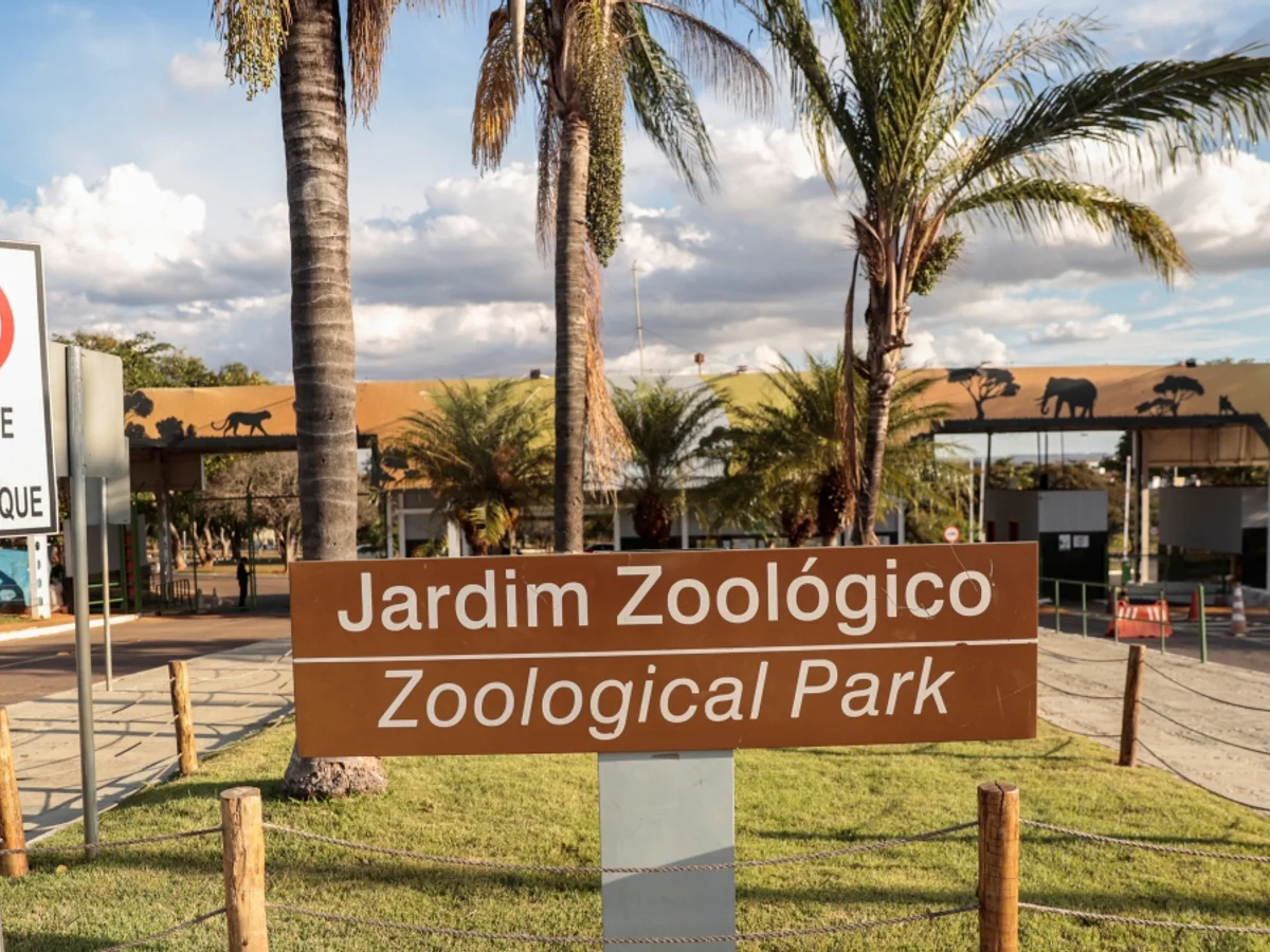 Zoológico de Brasília estará fechado ao público no 2º turno das eleições