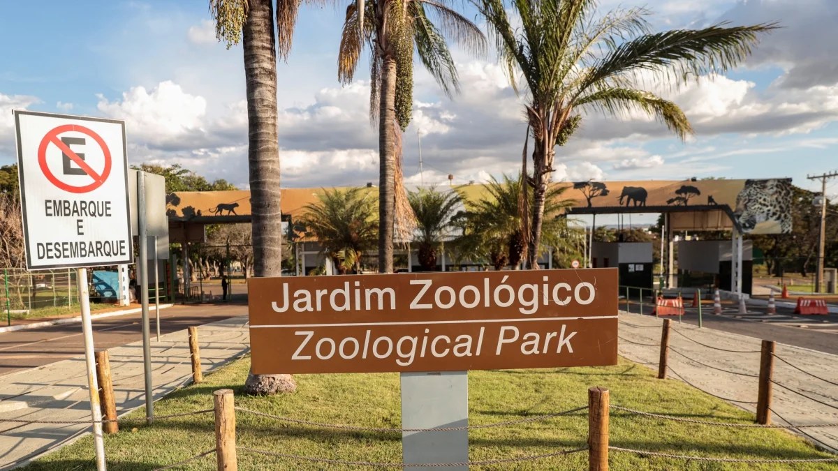 Zoológico de Brasília estará fechado ao público no 2º turno das eleições
