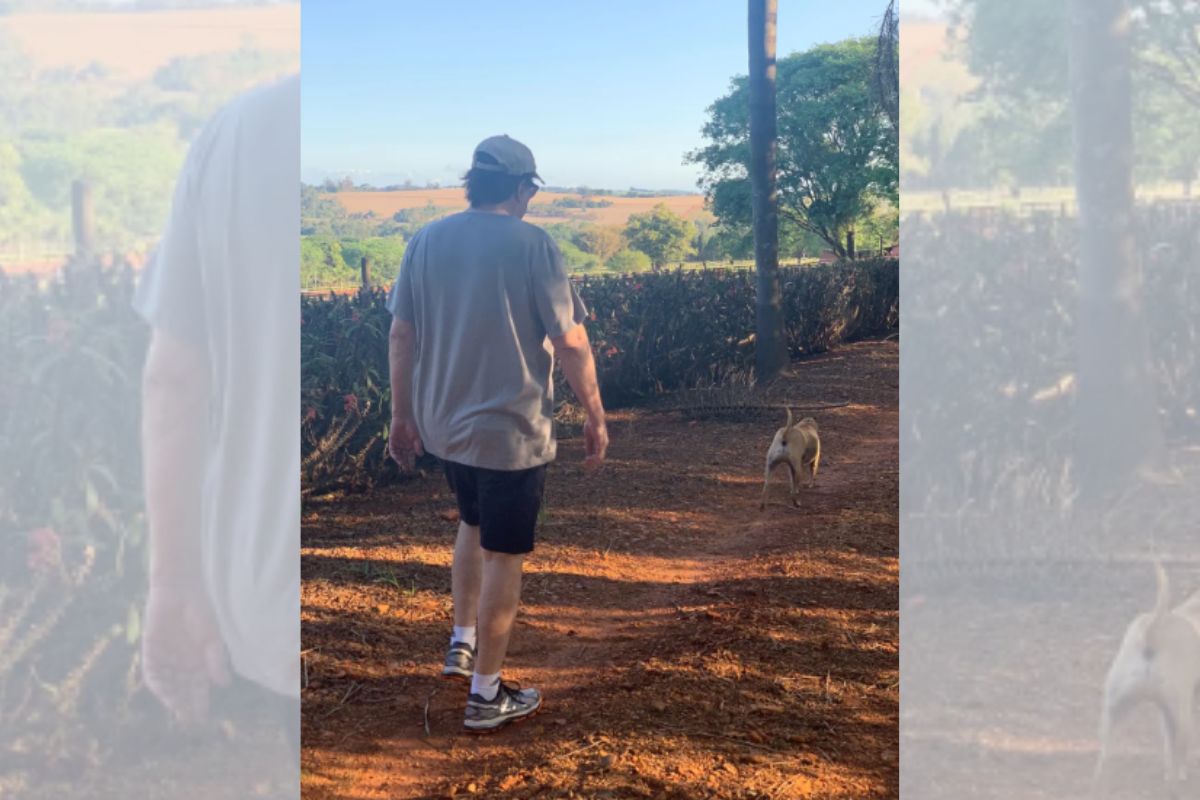 Fábio Jr. mantém criação de animais em propriedade de R$ 12 milhões em SP