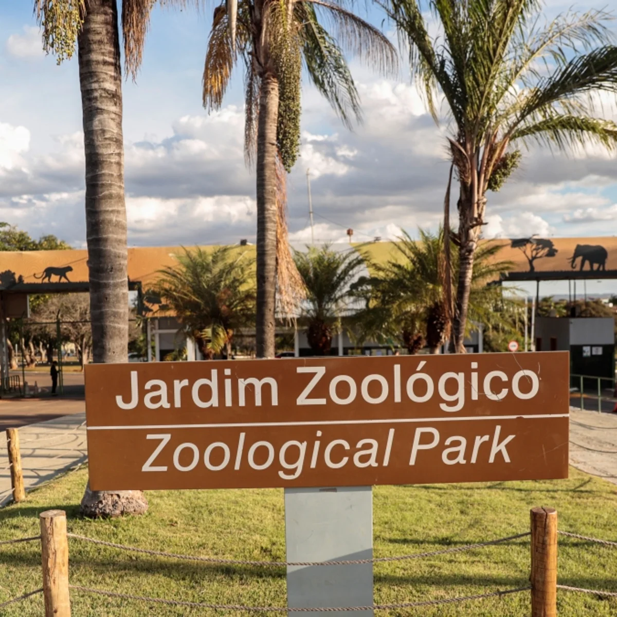 Zoológico de Brasília estará fechado ao público no 2º turno das eleições